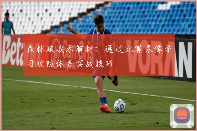 森林狼战术解析:通过比赛录像学习攻防体系实战技巧