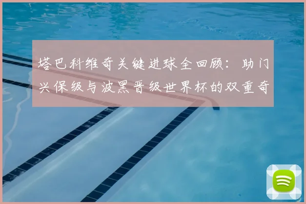 塔巴科维奇关键进球全回顾:助门兴保级与波黑晋级世界杯的双重奇迹集锦