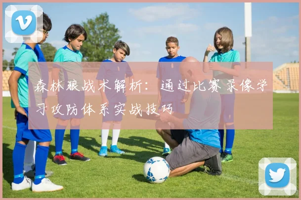 森林狼战术解析：通过比赛录像学习攻防体系实战技巧